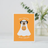 Keine Tricks nur Leckereien Halloween Hund Postkarte (Stehend Vorderseite)
