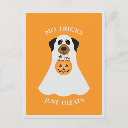 Keine Tricks nur Leckereien Halloween Hund Postkarte (Vorderseite)