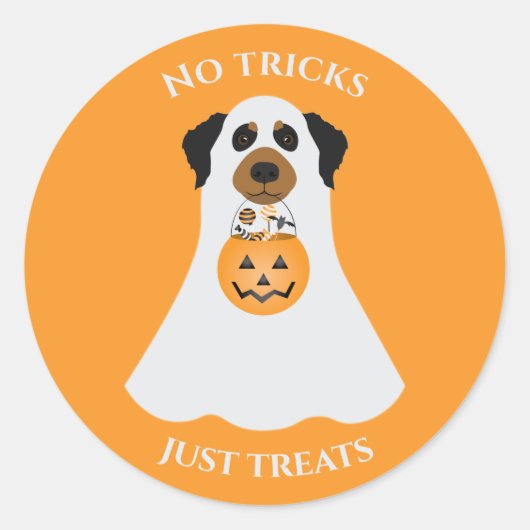 Keine Tricks nur Leckereien Halloween Hund Runder Aufkleber (Vorderseite)
