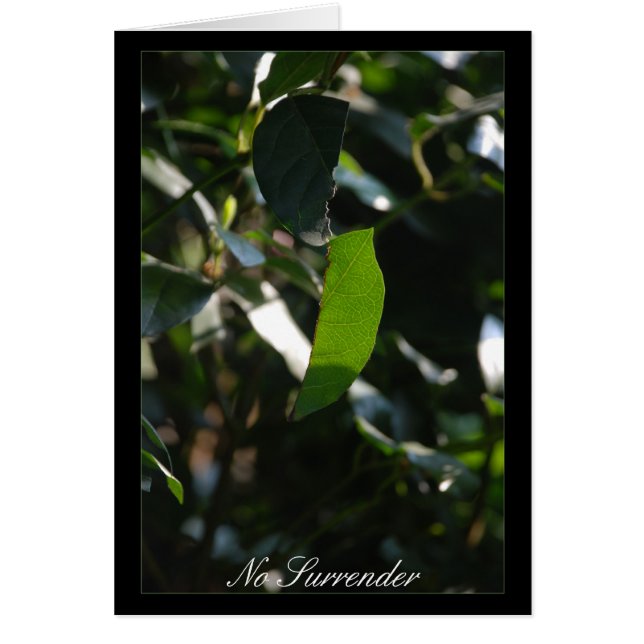 Keine Übergabe (Vorne)