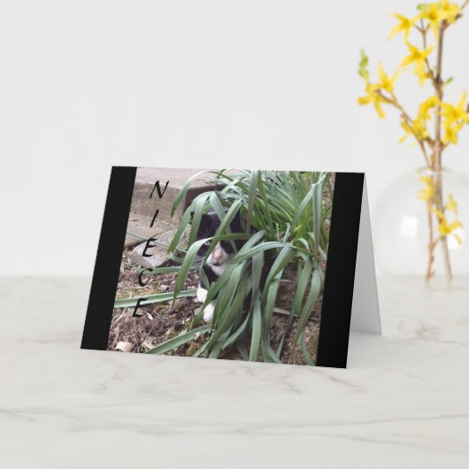 KEINE VERHIDUNG VON DER WAHRHEIT "BEST NIECE" IN D KARTE (Gelbe Blume)