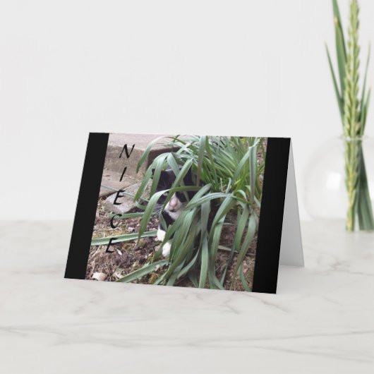 KEINE VERHIDUNG VON DER WAHRHEIT "BEST NIECE" IN D KARTE (Vorderseite)