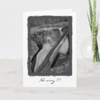 Keine Weise, Geburtstag!