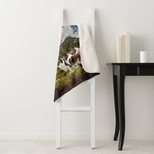 Keine Zuhause mit Colliesen, Schafherden, rustikal Sherpadecke (Beispiel)