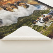 Keine Zuhause mit Colliesen, Schafherden, rustikal Sherpadecke (3/4)