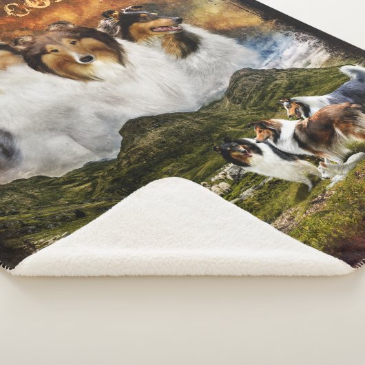 Keine Zuhause mit Colliesen, Schafherden, rustikal Sherpadecke (3/4)