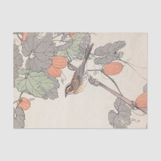 Keinen Kachō Gafu, Pl.38, von Imao Keinen Seidenpapier (Vorderseite)