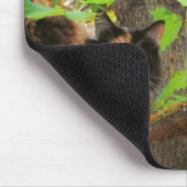 Keiner darf Cat vs Eichhörnchen bestehen Mousepad (Ecke)