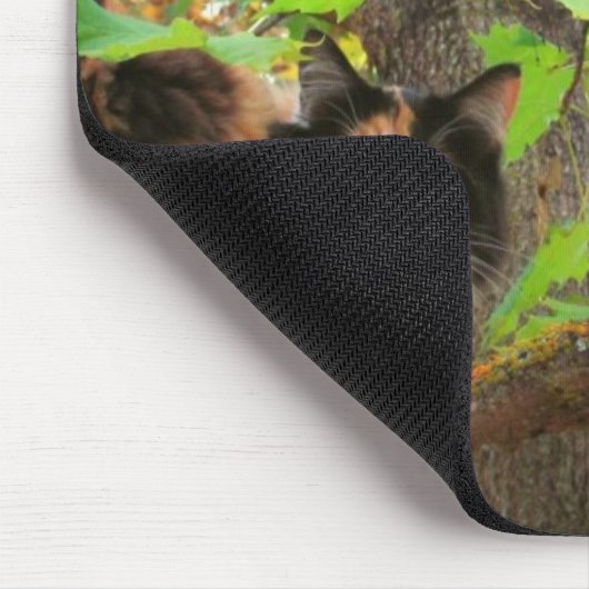 Keiner darf Cat vs Eichhörnchen bestehen Mousepad (Ecke)