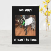 KEINESFALLS KANN MAN KEINE "40"-KARTE SEIN KARTE (Gelbe Blume)