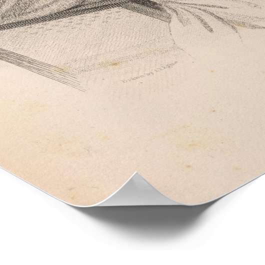 Kekauluohi, Hawaii Poster (Ecke)