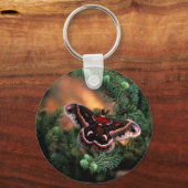 Kekropia moticum schlüsselanhänger (Vorderseite)