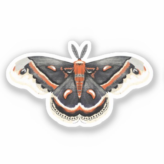 Kekropie Moth Aufkleber (Vorderseite)
