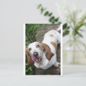 Keks? Postkarte (Stehend Vorderseite)