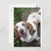 Keks? Postkarte (Vorne/Hinten)