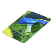 Kelch der blauen Trichterwinde Magnet (Linke Seite)