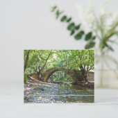 Kelefos Mittelalterbrücke auf Zypern Postkarte (Stehend Vorderseite)