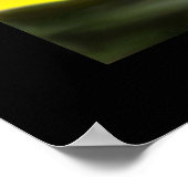 kelistisch poster (Ecke)