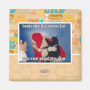 Keller-Katze erhält Kohle Magnet