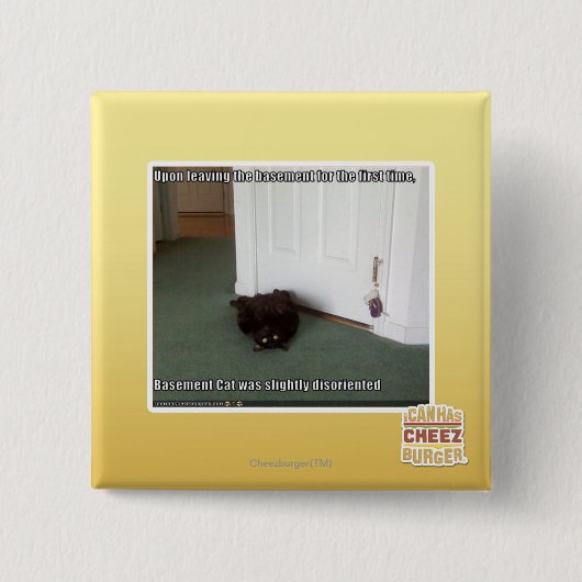 Keller-Katze, etwas verwirrt Button (Vorderseite)