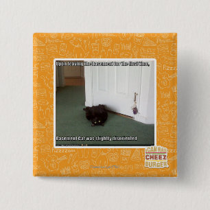 Keller-Katze, etwas verwirrt Button