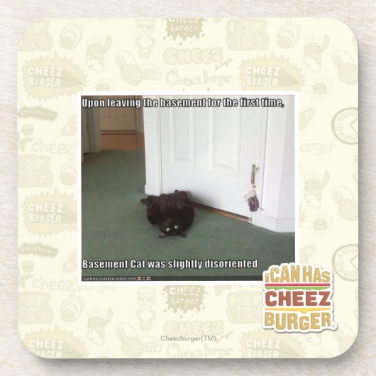 Keller-Katze, etwas verwirrt Getränkeuntersetzer (Vorderseite)