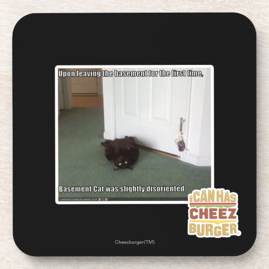 Keller-Katze, etwas verwirrt Getränkeuntersetzer (Vorderseite)