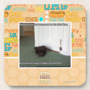 Keller-Katze, etwas verwirrt Getränkeuntersetzer