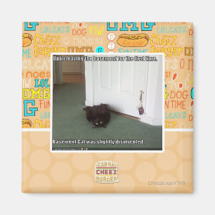 Keller-Katze, etwas verwirrt Magnet