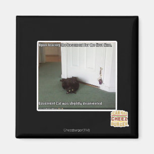 Keller-Katze, etwas verwirrt Magnet