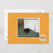 Keller-Katze, etwas verwirrt Postkarte (Vorne/Hinten)