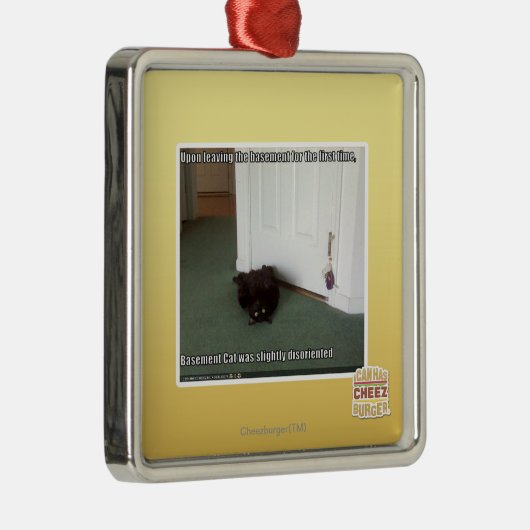 Keller-Katze, etwas verwirrt Silbernes Ornament (Rechts)