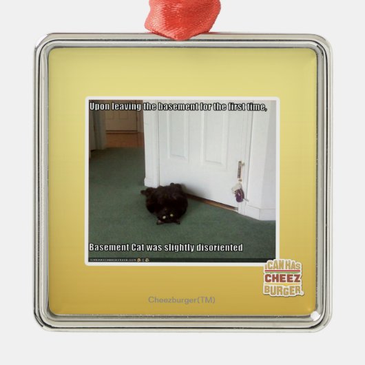 Keller-Katze, etwas verwirrt Silbernes Ornament (Vorne)