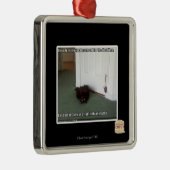 Keller-Katze, etwas verwirrt Silbernes Ornament (Rechts)