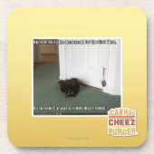 Keller-Katze, etwas verwirrt Untersetzer (Vorderseite)