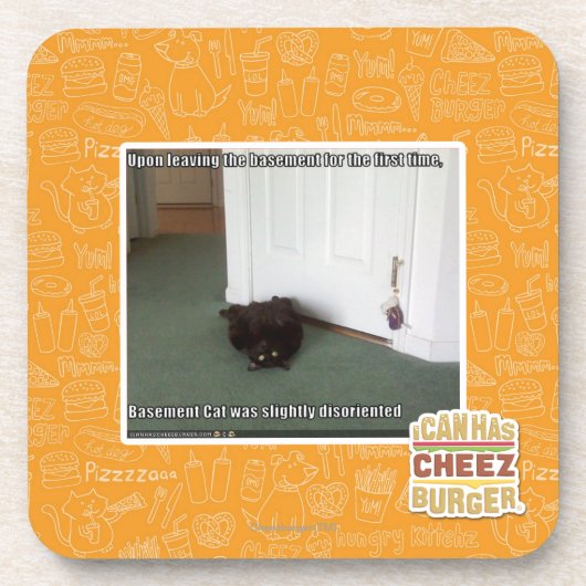 Keller-Katze, etwas verwirrt Untersetzer (Vorderseite)