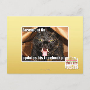 Keller-Katze Postkarte