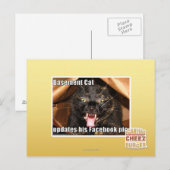 Keller-Katze Postkarte (Vorne/Hinten)
