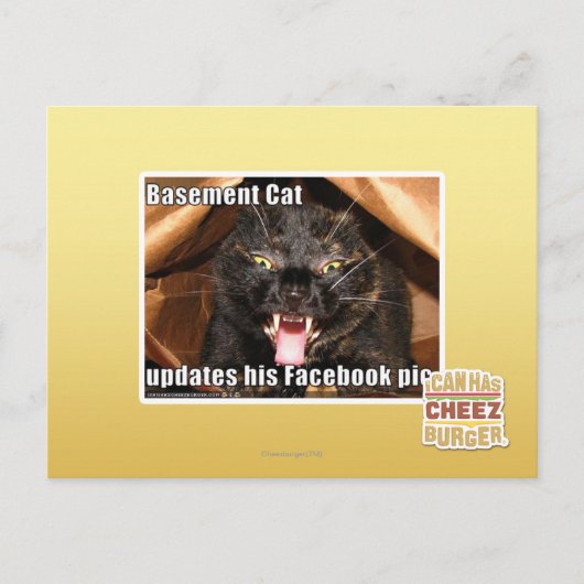 Keller-Katze Postkarte (Vorderseite)