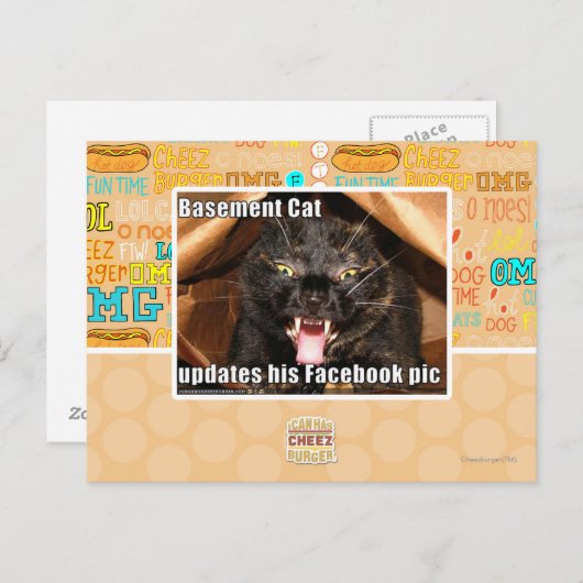 Keller-Katze Postkarte (Vorne/Hinten)