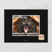 Keller-Katze Postkarte (Vorderseite)