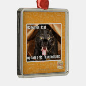 Keller-Katze Silbernes Ornament (Rechts)