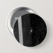 Kellerspinne Button (Vorne & Hinten)