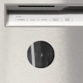Kellerspinne Magnet (In Situ (Geschirrspüler))