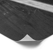 Kellerspinne Poster (Ecke)