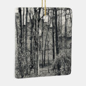 "Kelleys Island Ruins II. Foto Keramikornament (Rechts)