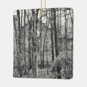 "Kelleys Island Ruins II. Foto Keramikornament (Links)