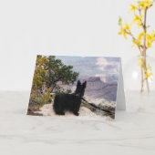 Kelly Boo bei Grand Canyon Grußkarte Karte (Gelbe Blume)