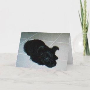 Kelly Boo Pup Greeting Card Karte