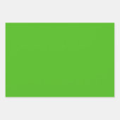 Kelly Green Solid Color Geschenkpapier Set (Vorderseite 2)